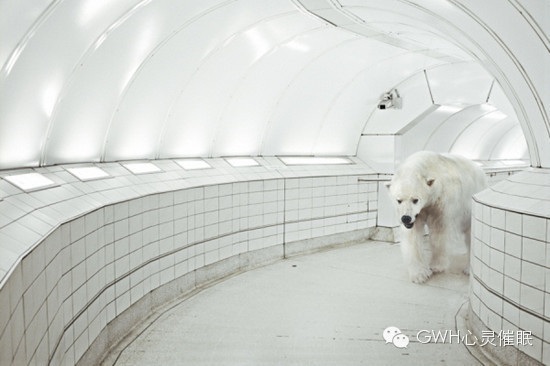 为什么害怕即将到来的事情? | 4