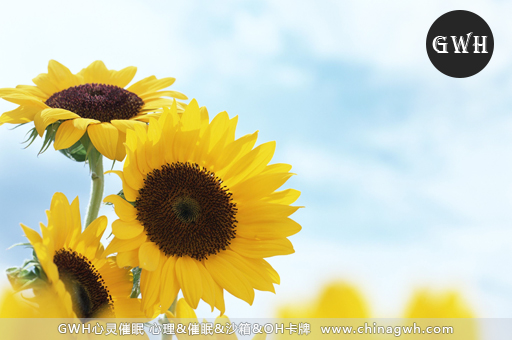 【GWH】北京心理咨询两性关系 自我提升 | GWH GWH