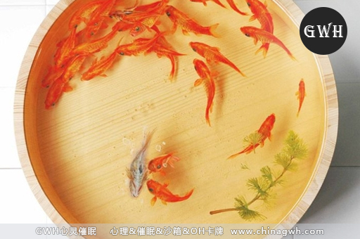 北京催眠机构、GWH你可以了解下 | 北京催眠 北京催眠