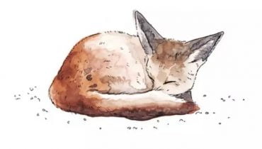 内心缺乏安全感的小孩长大了