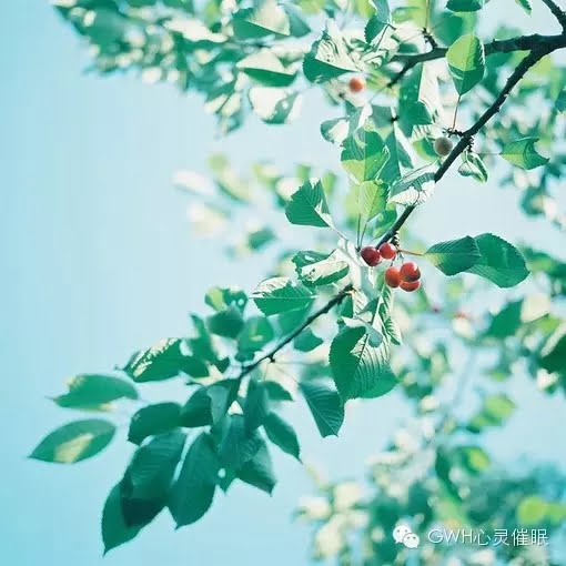 迟到了太久,就不必到了